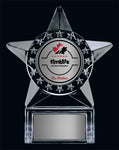 "Krystal Star" Acrylic Award