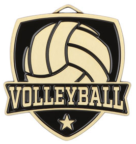 "Varsity Volleyball" Medal