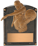 "Legends of Fame Annual" Men's and Women's Soccer Plaque