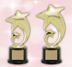 "Shooting Star" Achievement Award