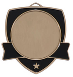 "Varsity" Insert Medal