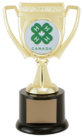 "Challenge Cup" Achievement Award