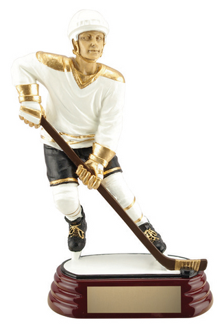 "Player, Male" Hockey Trophy