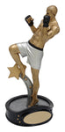 "Mixed Martial Arts" Men's Distinctive Trophy