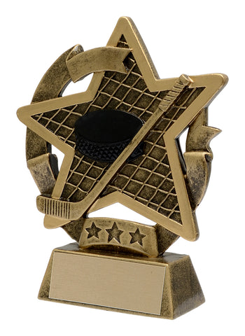 "Star Gazer" Hockey Trophy