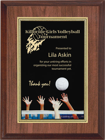 "Volleyball" Activity Plaque