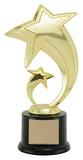 "Shooting Star" Achievement Award