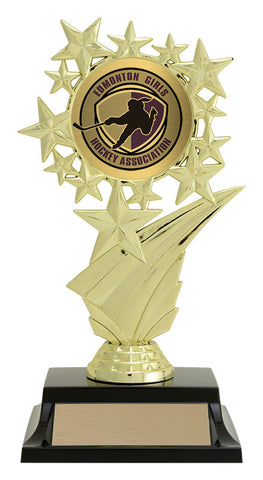 "Star Swoosh" Achievement Award